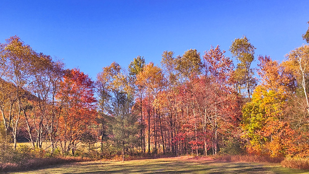 Photo of Outdoor in Richmond