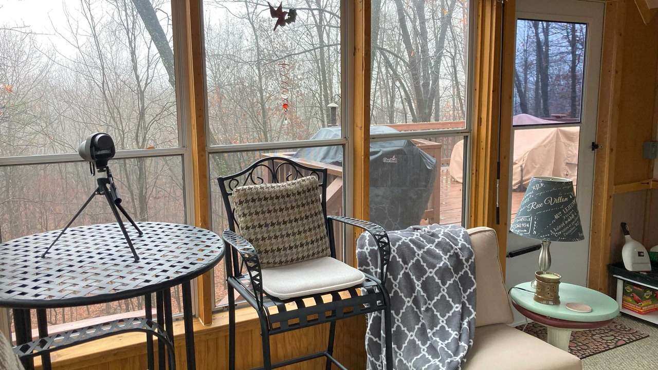 Photo of Bedroom in The Woods