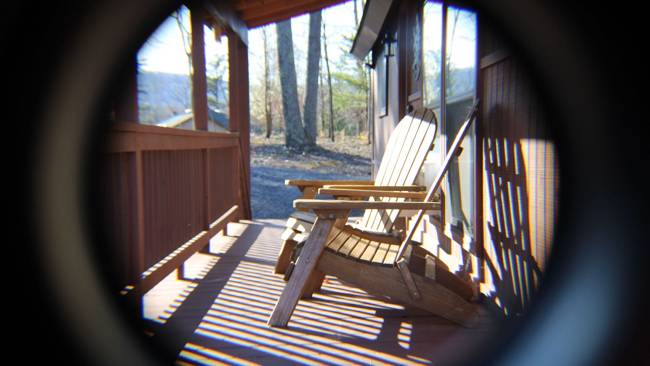 Photo of Others in The Woods