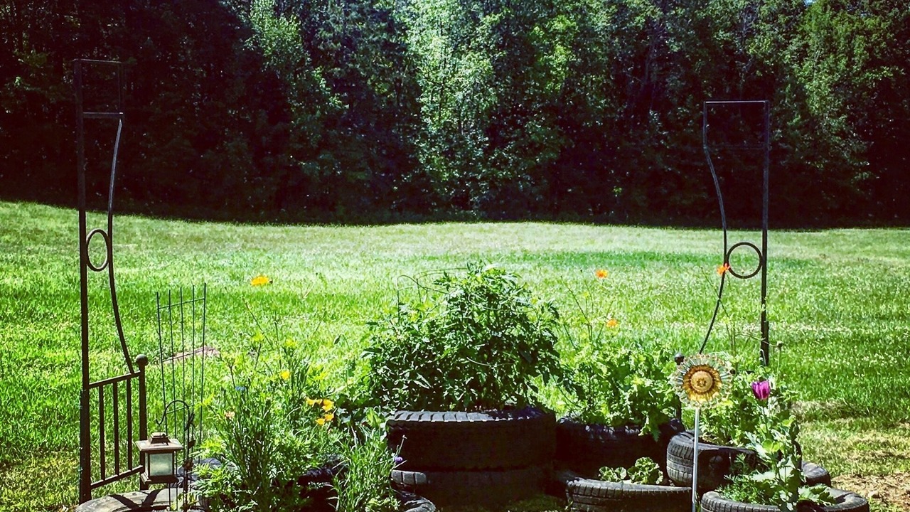 Photo of Others in East Burke