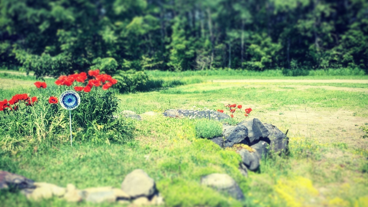 Photo of Outdoor in East Burke