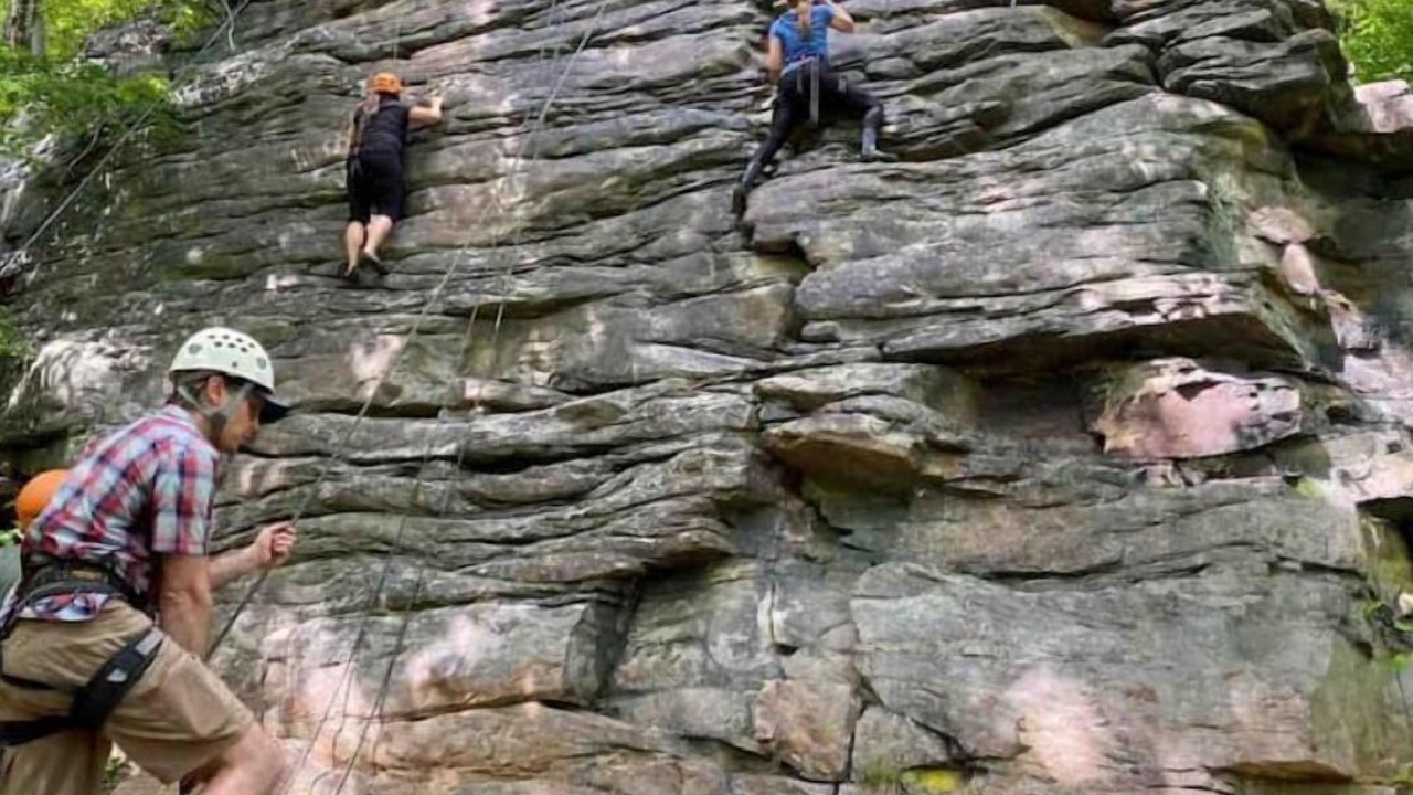 Photo of Others in Nallen