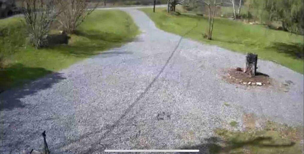 Photo of Outdoor in Nallen