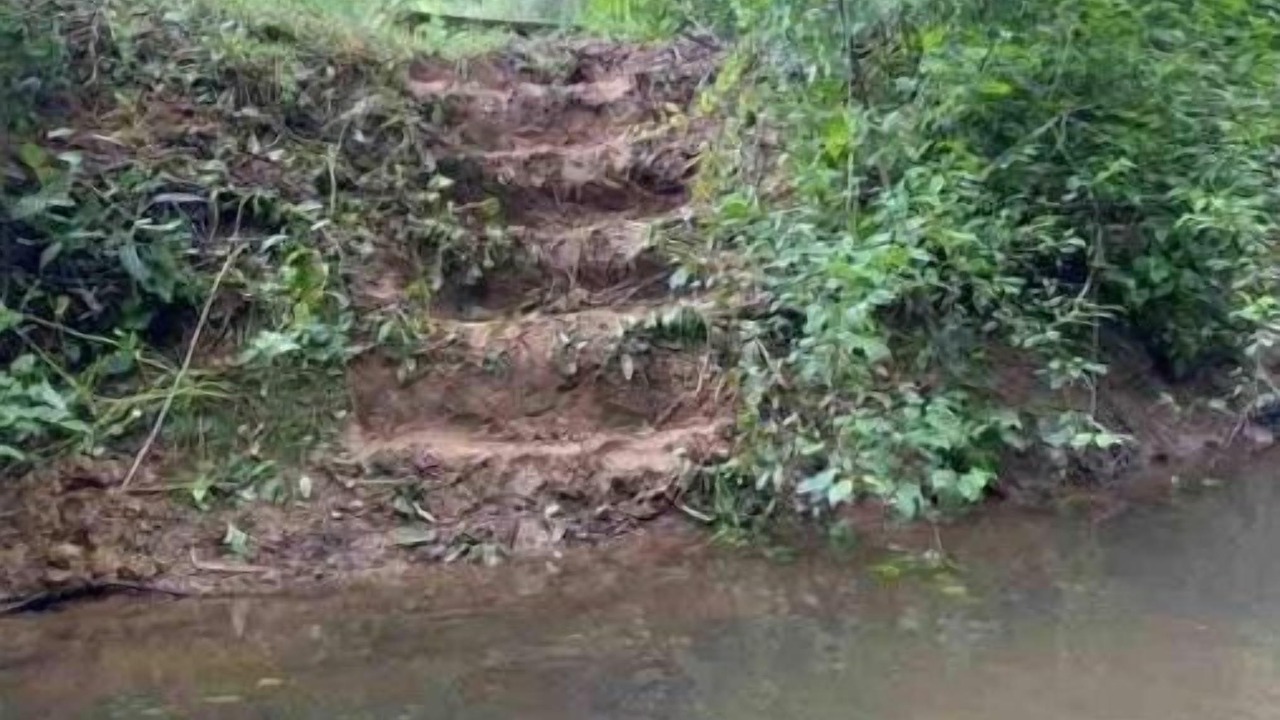 Photo of Outdoor in Nallen