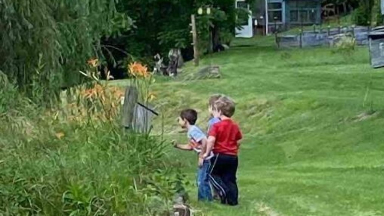 Photo of Outdoor in Nallen