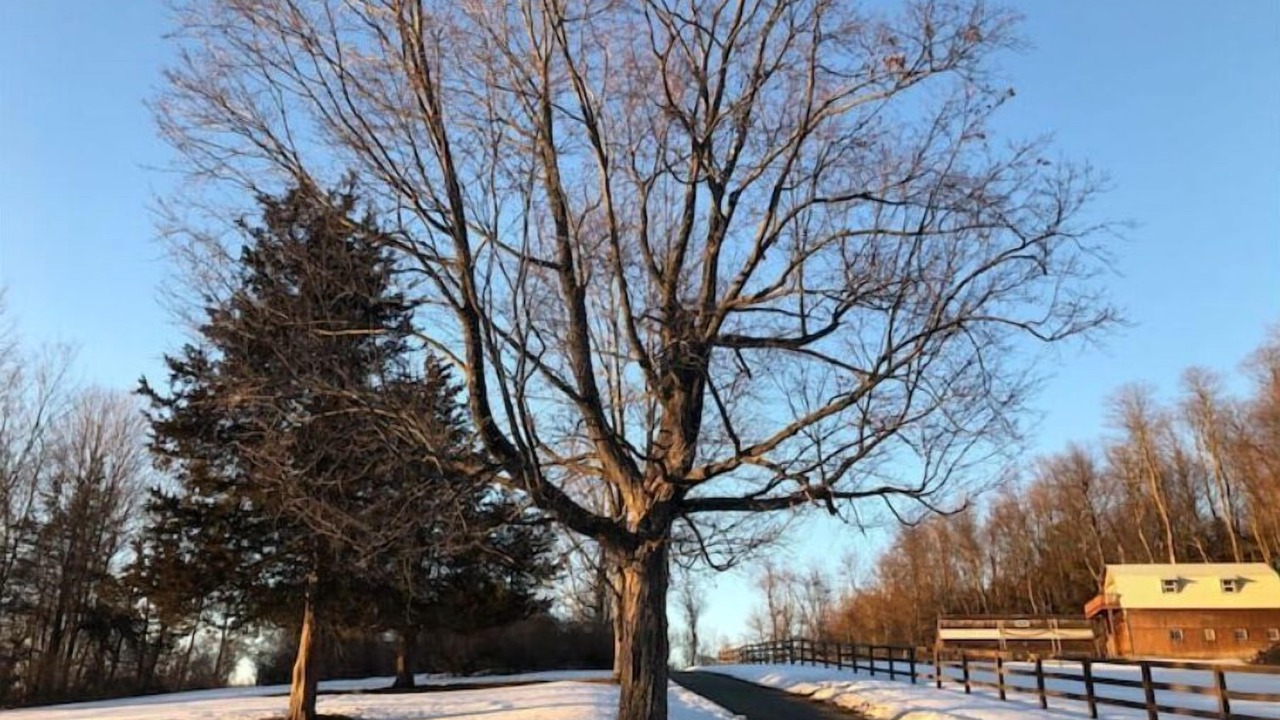 Photo of Outdoor in Red Hook