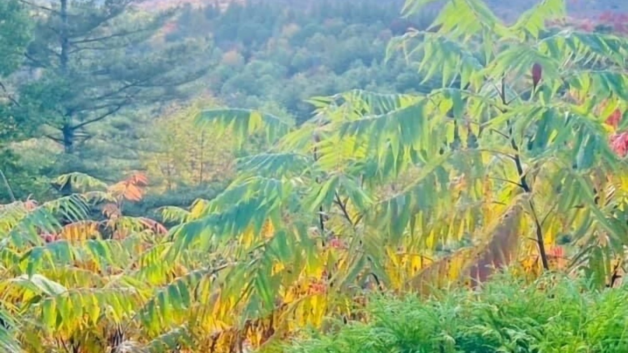 Photo of Outdoor in Waterbury