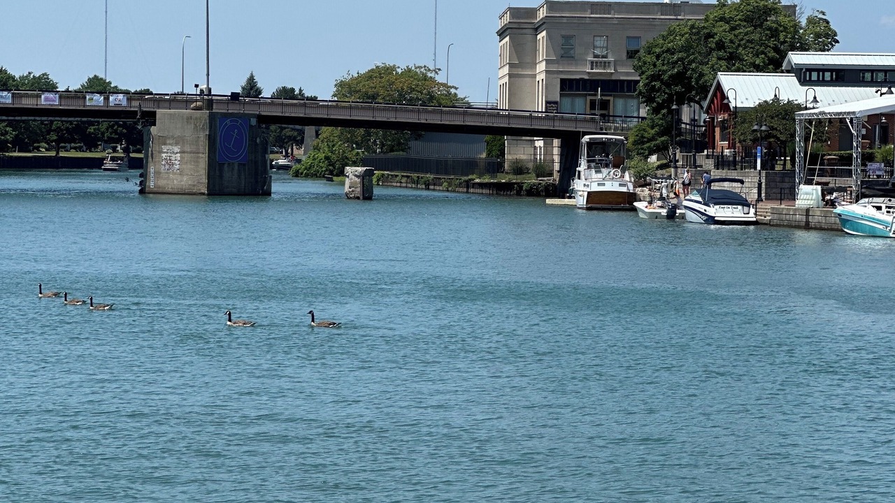 Photo of Others in Tonawanda