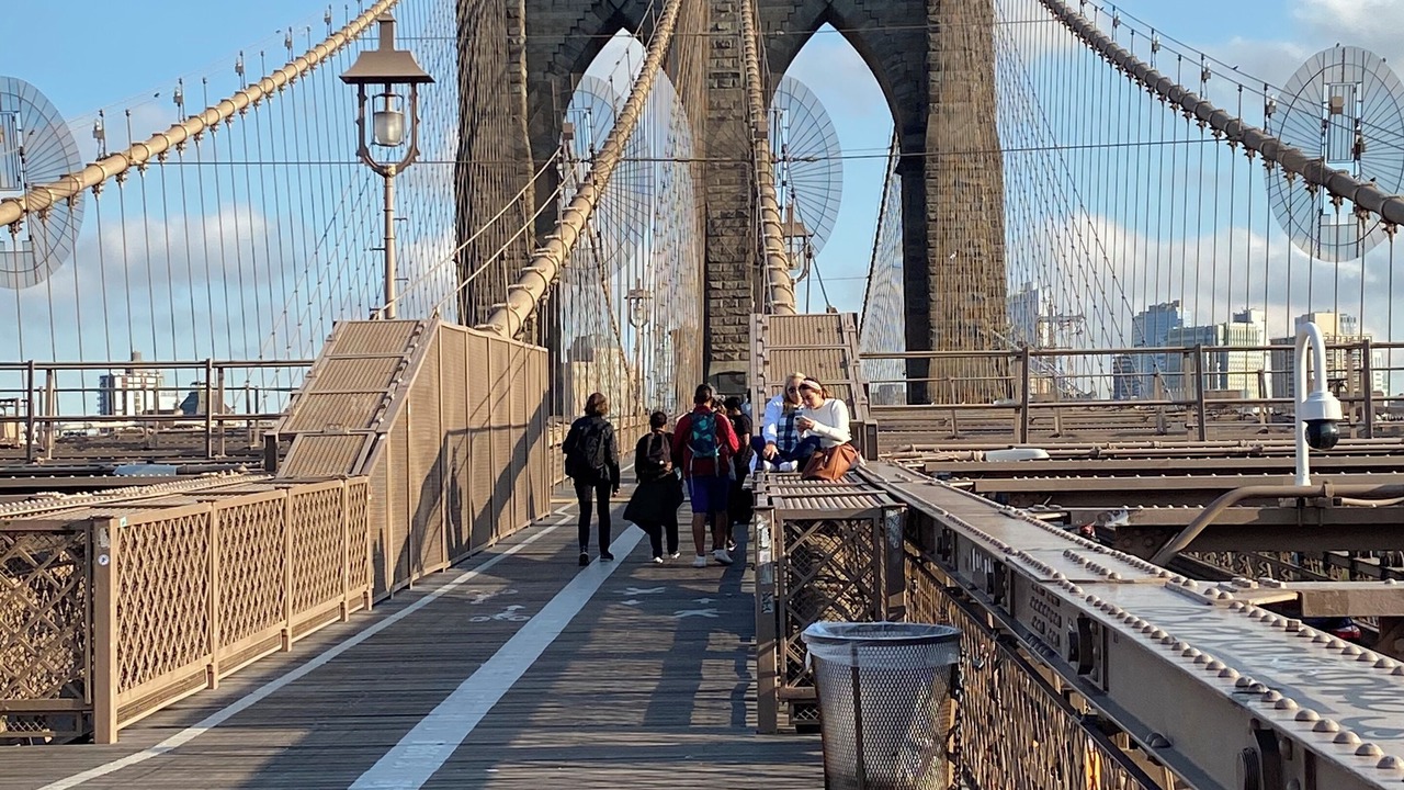 Photo of Others in Bedford-Stuyvesant