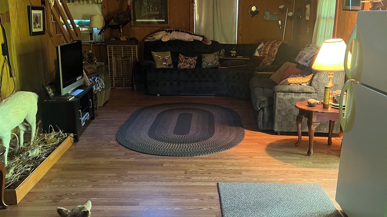 Photo of Livingroom in Horner