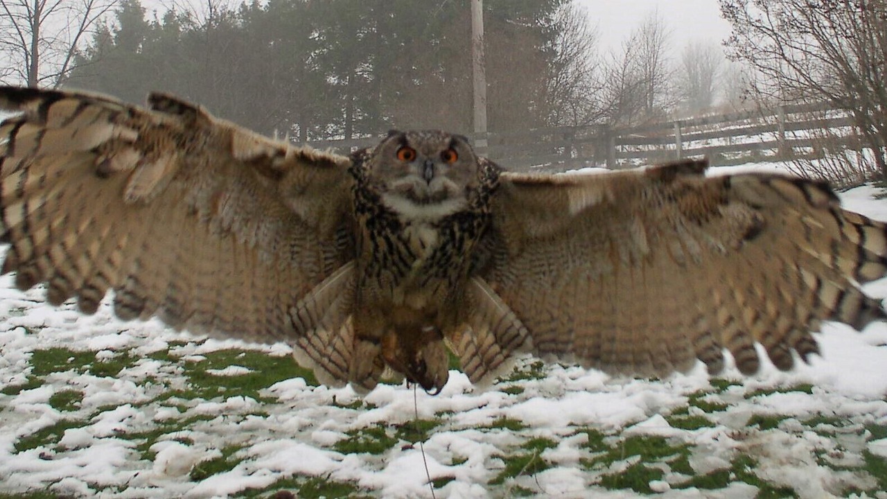 Photo of Outdoor in Wilmington