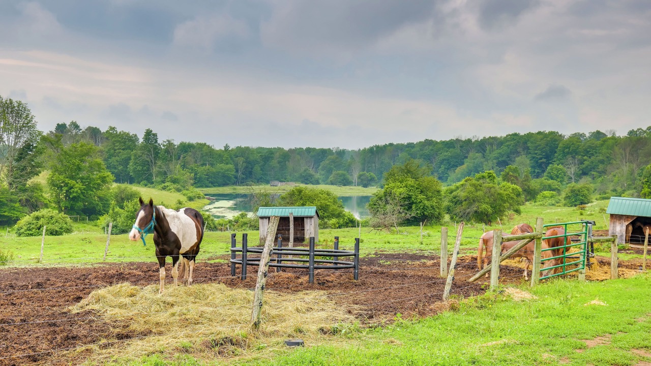 Photo of Outdoor in Cowanesque