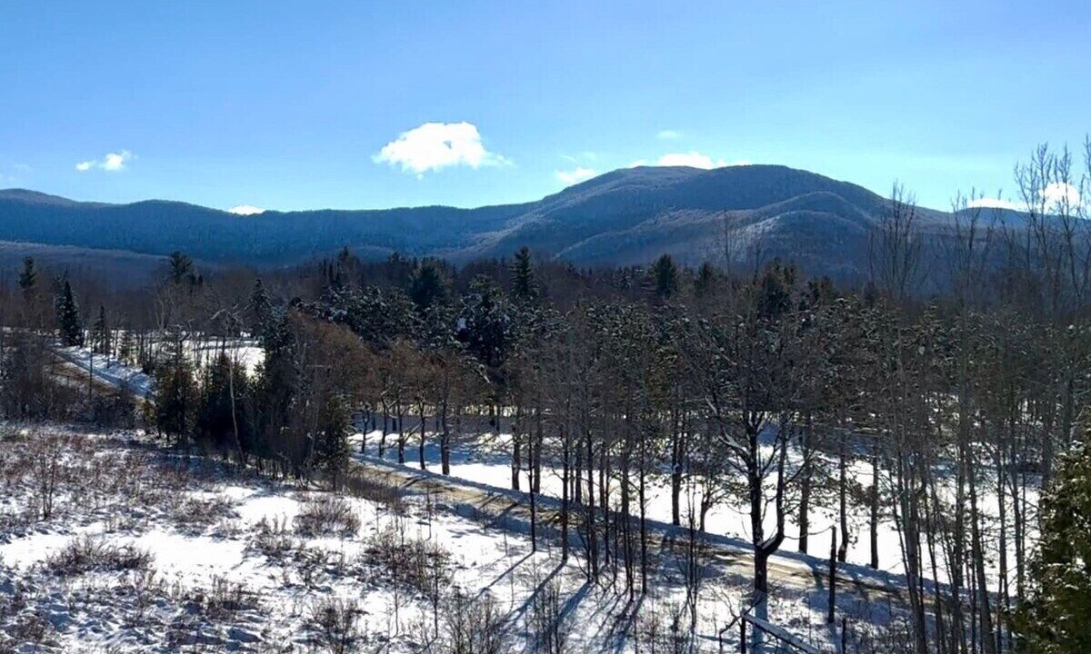 Photo of Others in Stowe