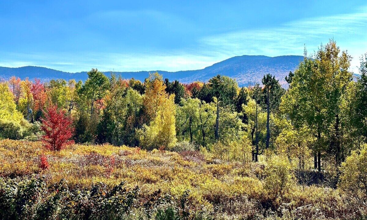 Photo of Others in Stowe