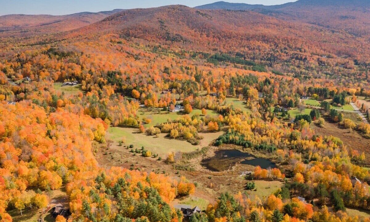 Photo of Others in Stowe