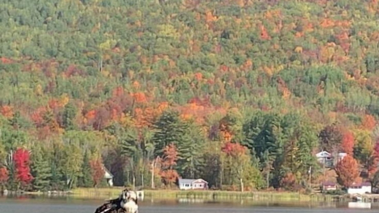 Photo of Outdoor in Concord