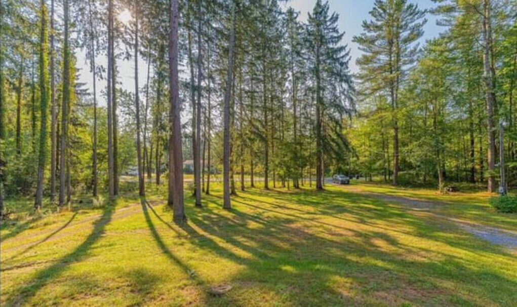 Photo of Outdoor in Saratoga Springs