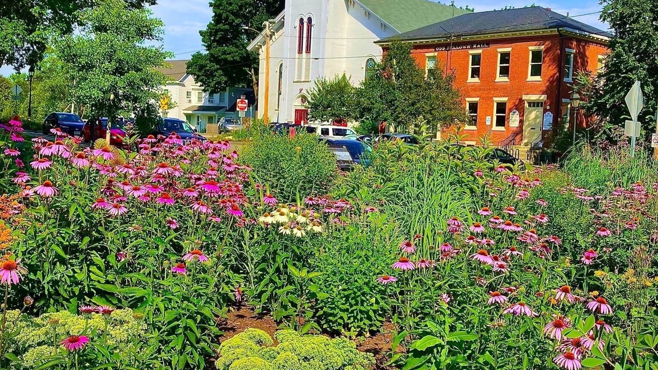 Photo of Outdoor in Ipswich