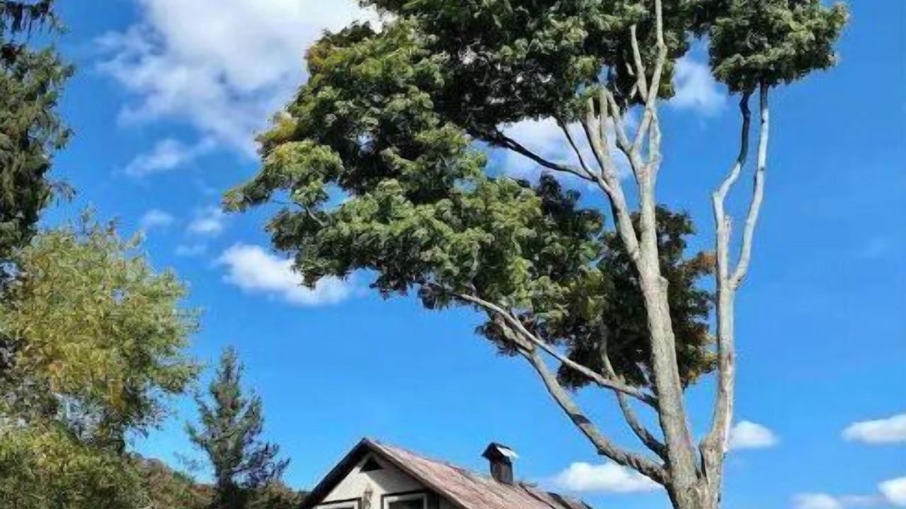 Photo of Outdoor in German
