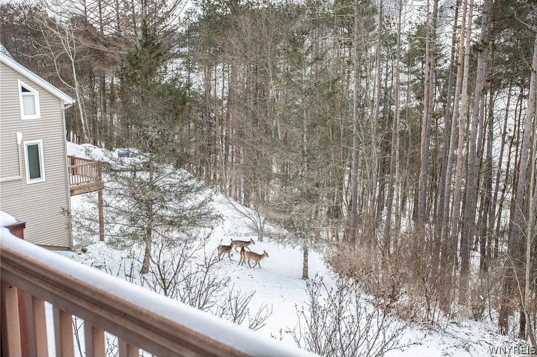 Photo of Outdoor in Ellicottville