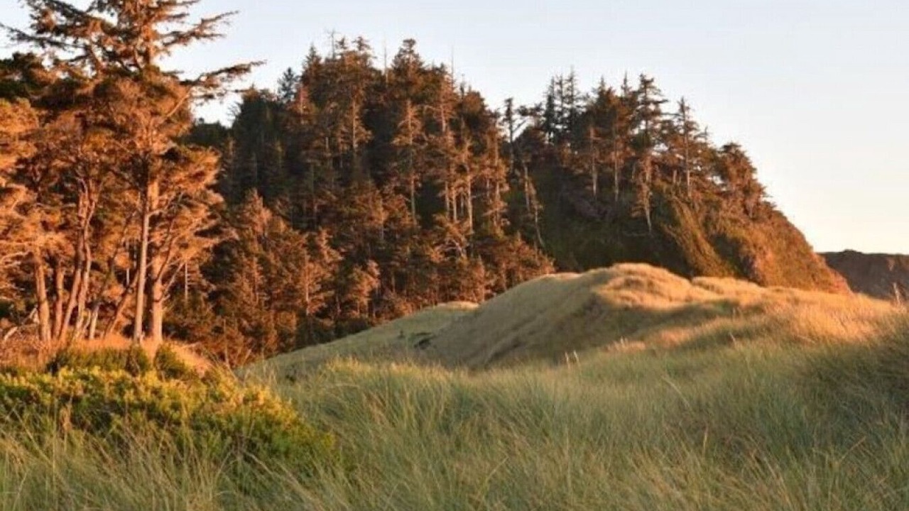 Photo of Outdoor in Port Orford
