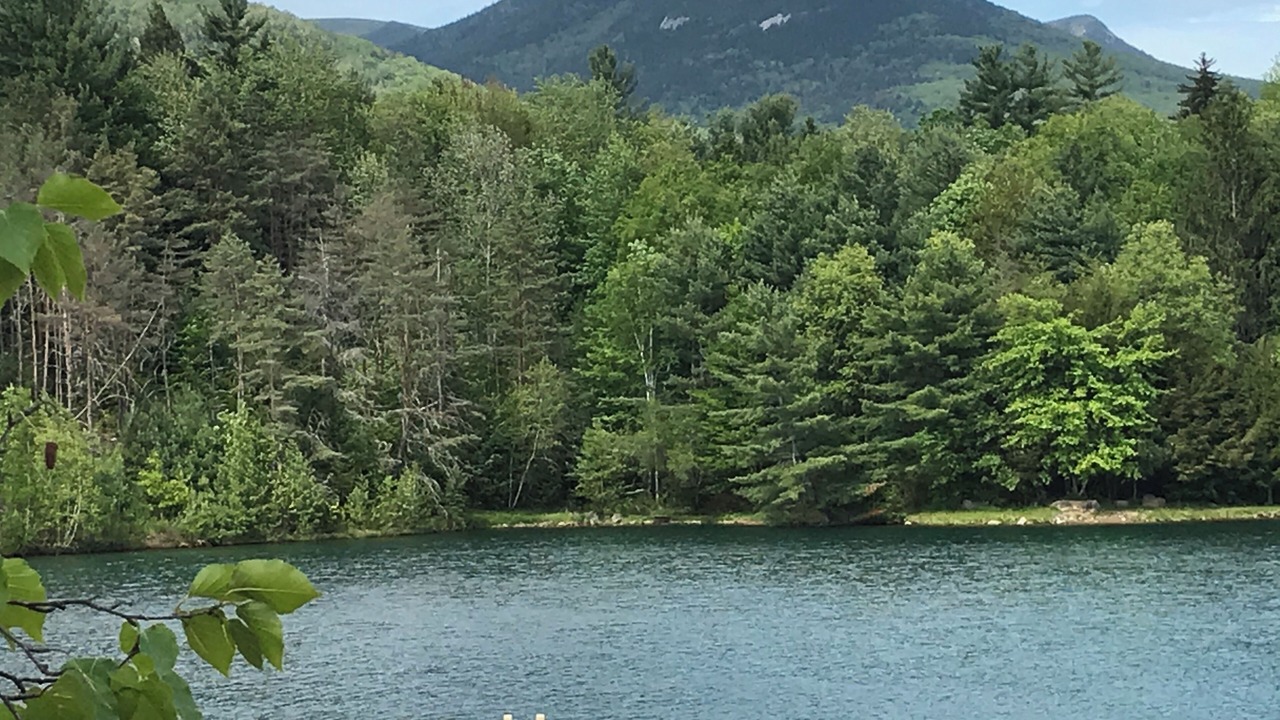 Photo of Others in North Woodstock