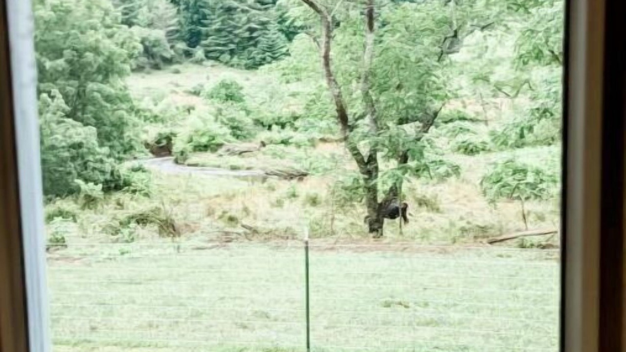Photo of Others in Burks Fork
