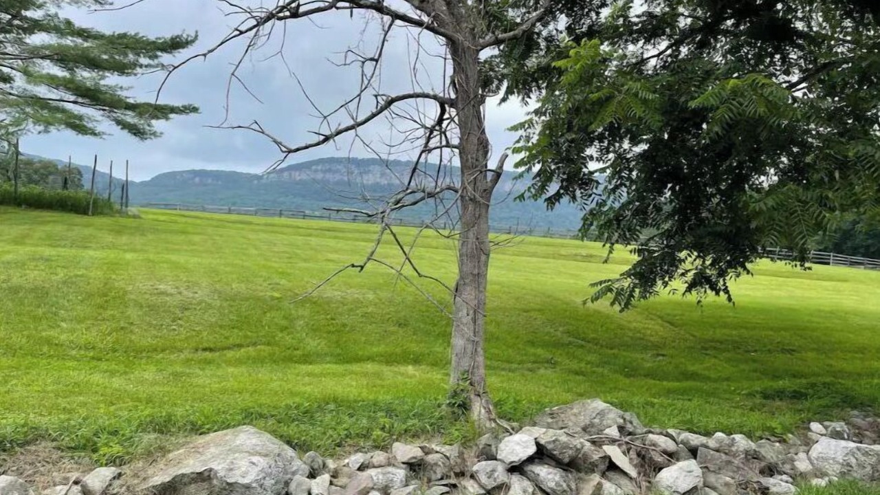 Photo of Others in New Paltz