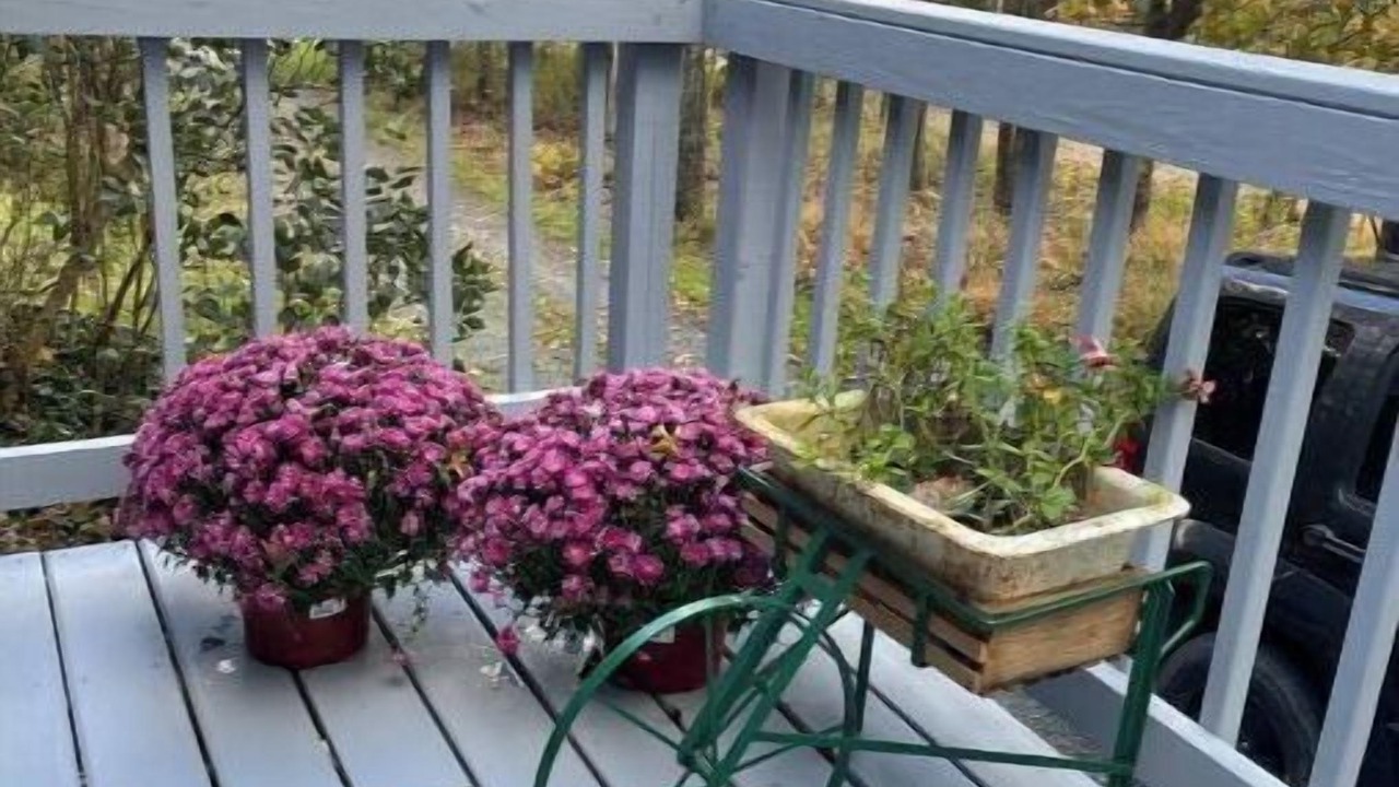 Photo of Outdoor in New Paltz