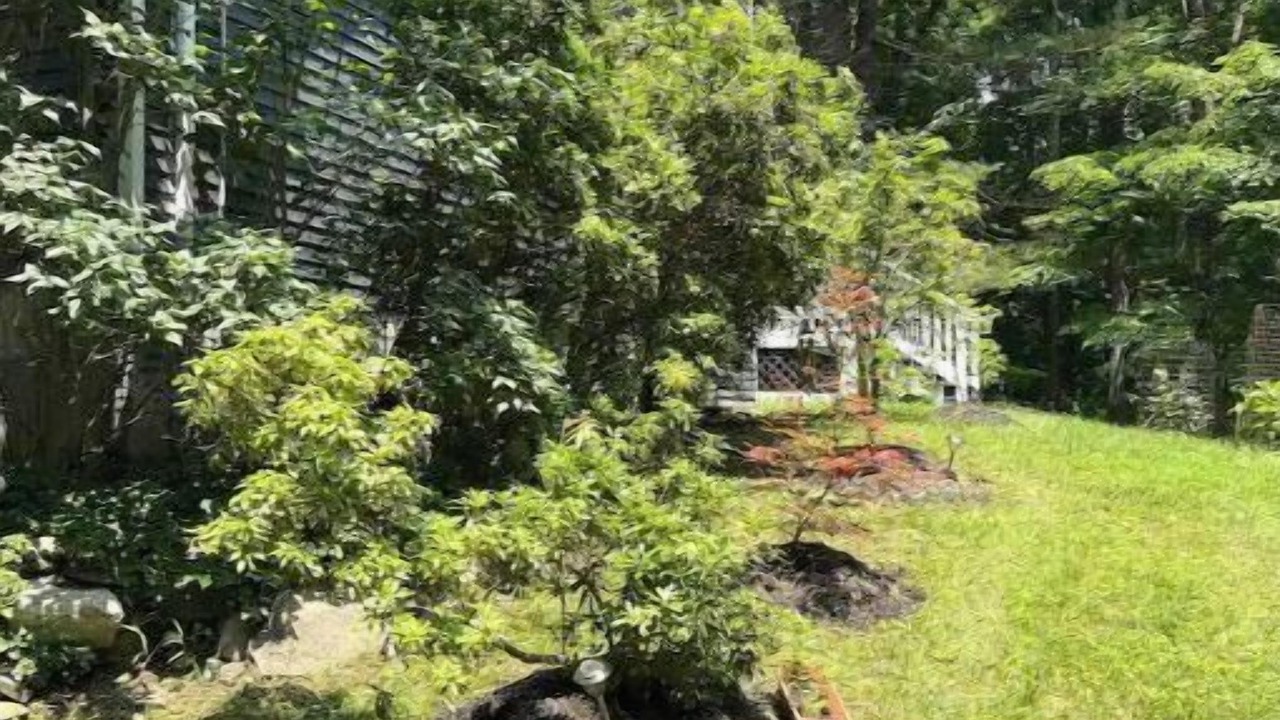 Photo of Outdoor in New Paltz