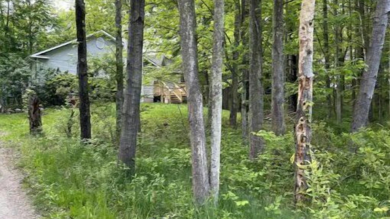 Photo of Outdoor in New Paltz
