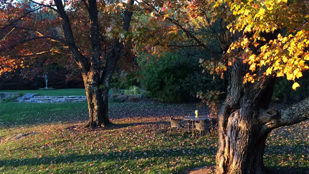 Photo of Outdoor in Tuftonboro
