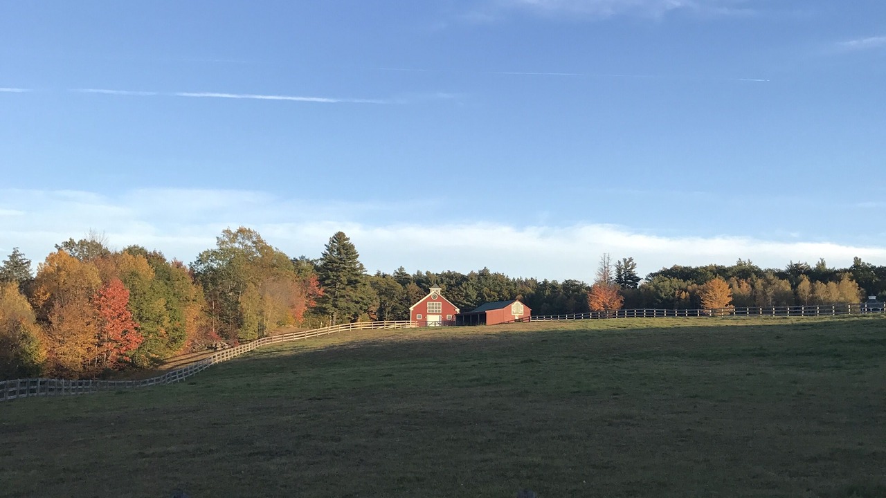 Photo of Others in Tuftonboro