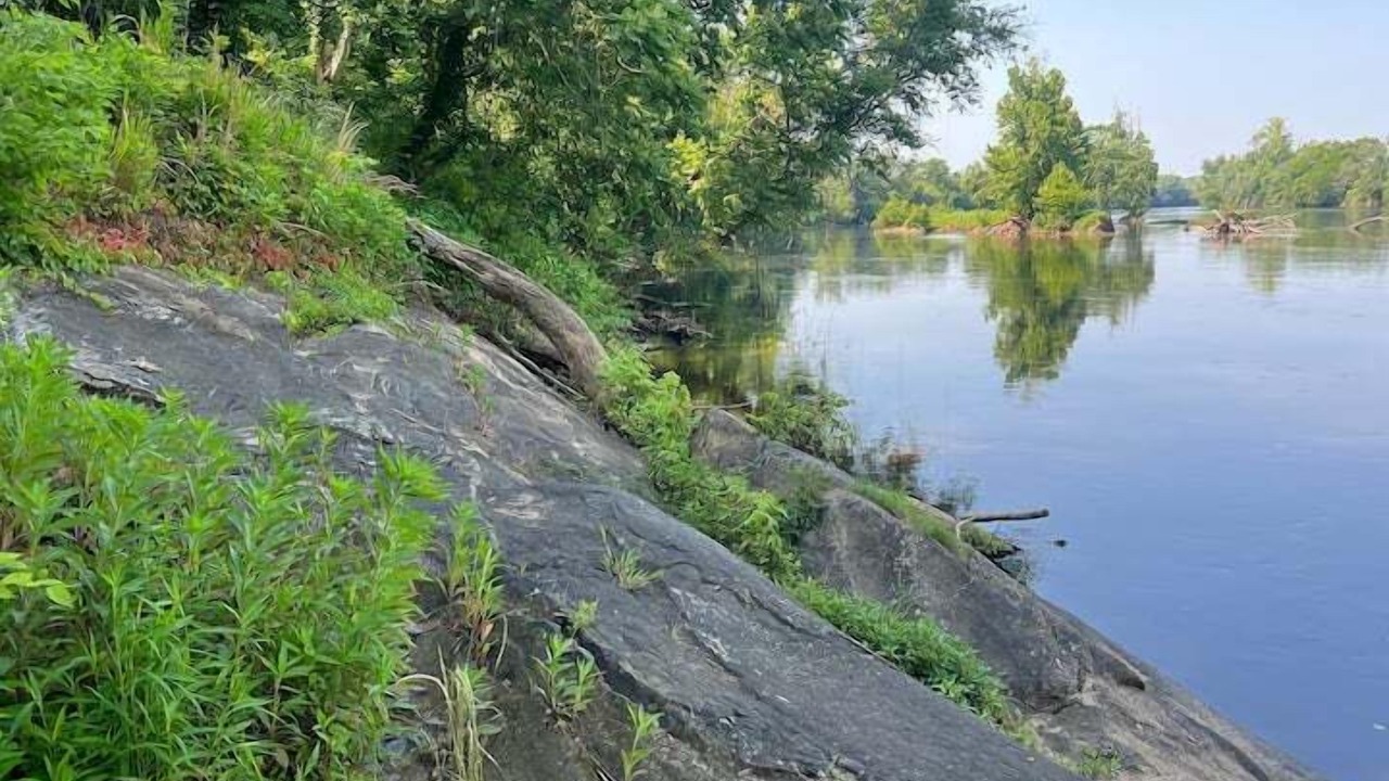 Photo of Others in Bremo Bluff
