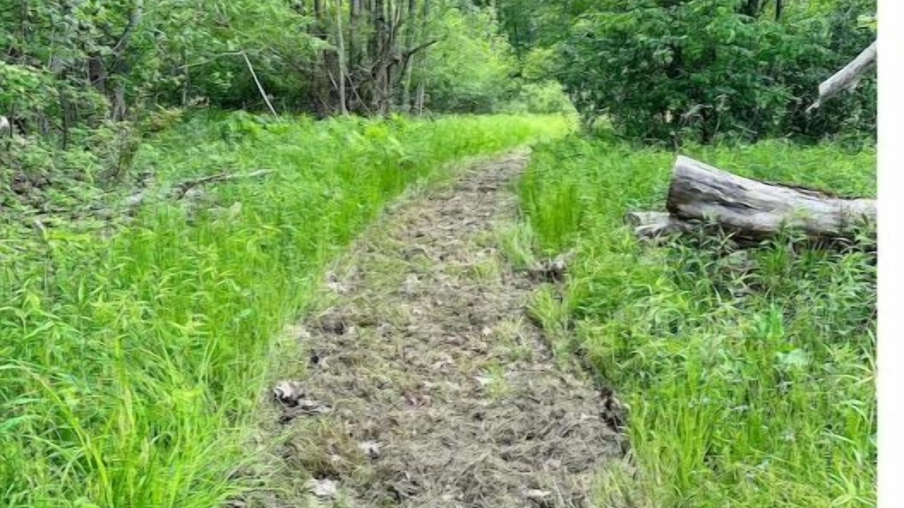 Photo of Outdoor in Chautauqua