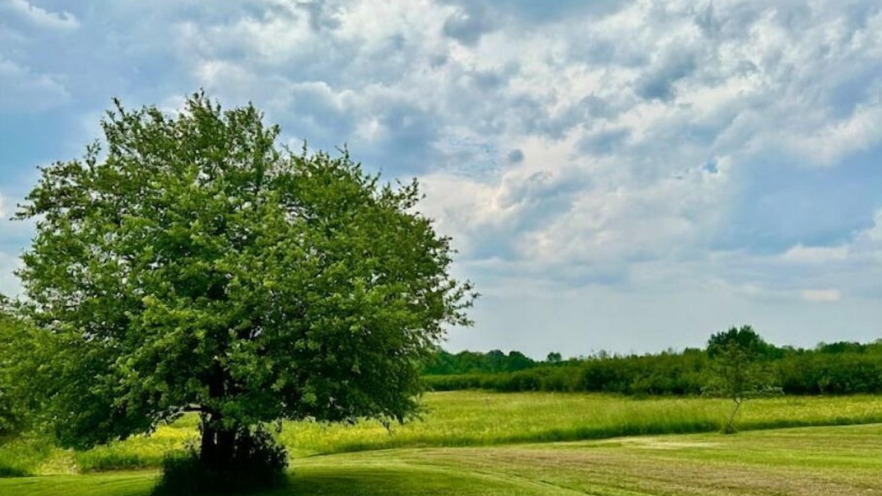 Photo of Others in Chautauqua