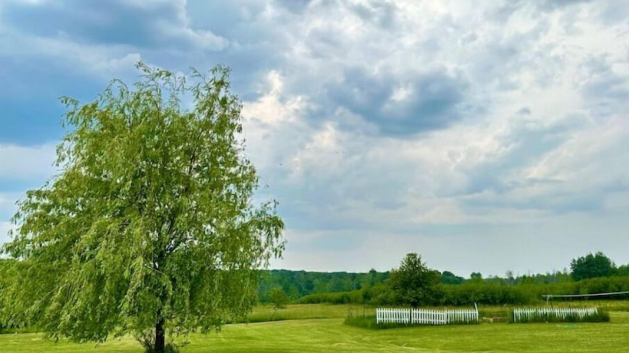 Photo of Outdoor in Chautauqua