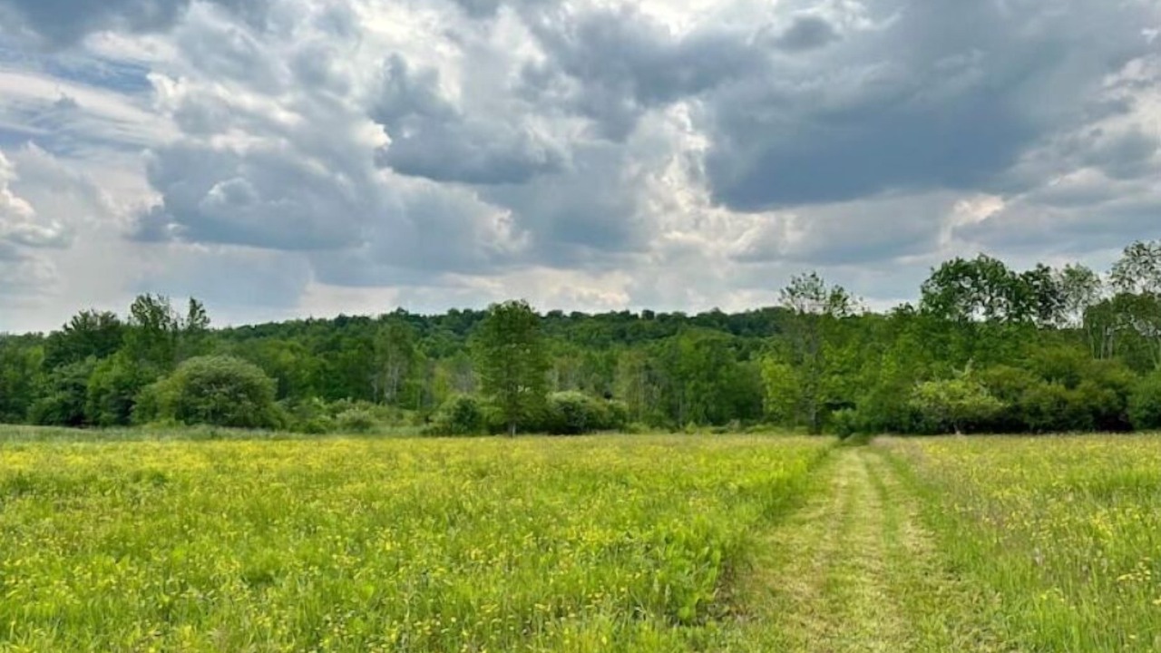 Photo of Outdoor in Chautauqua