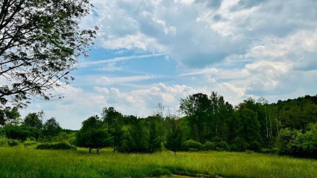 Photo of Outdoor in Chautauqua