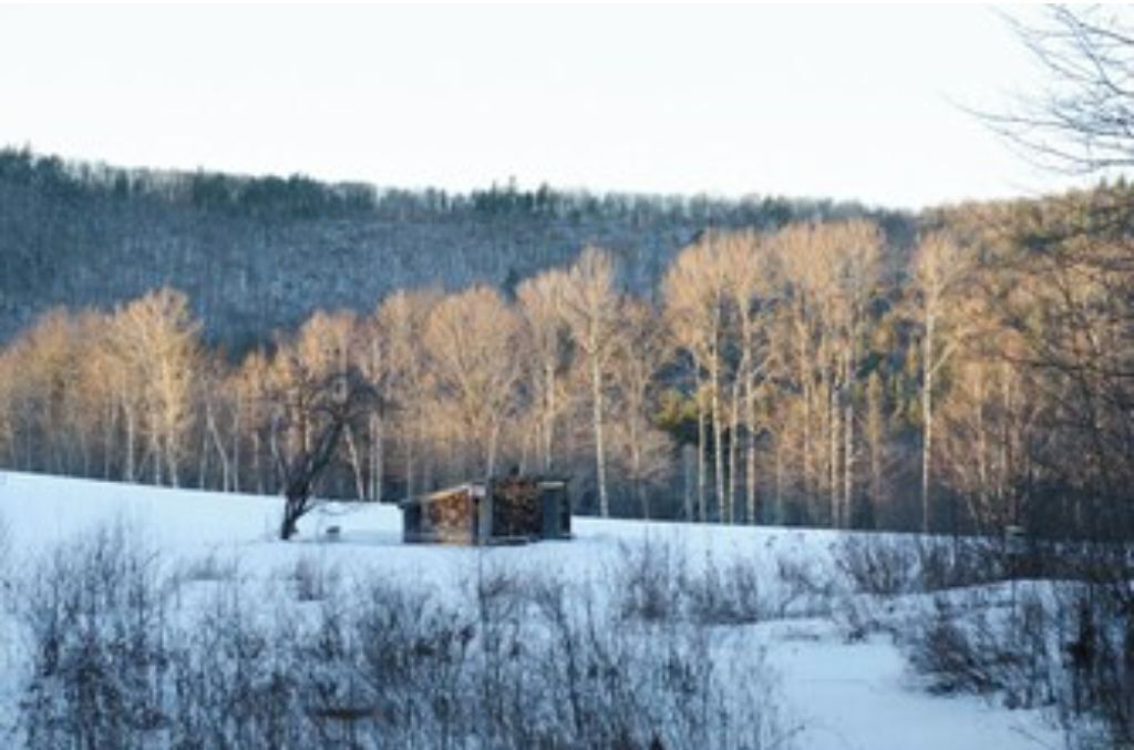 Photo of Others in Sugar Hill