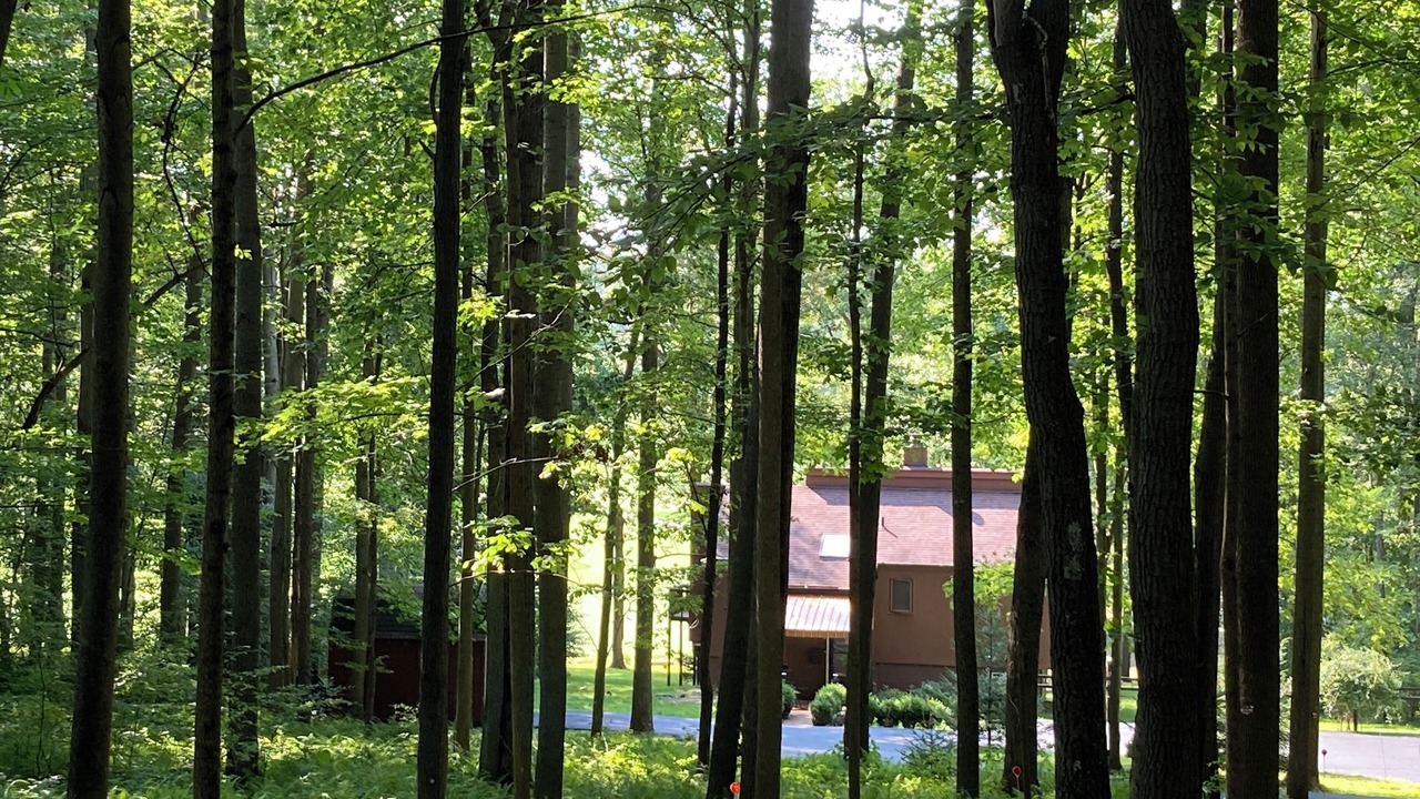 Photo of Outdoor in Farmington
