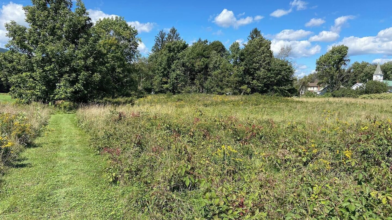 Photo of Outdoor in West Kill