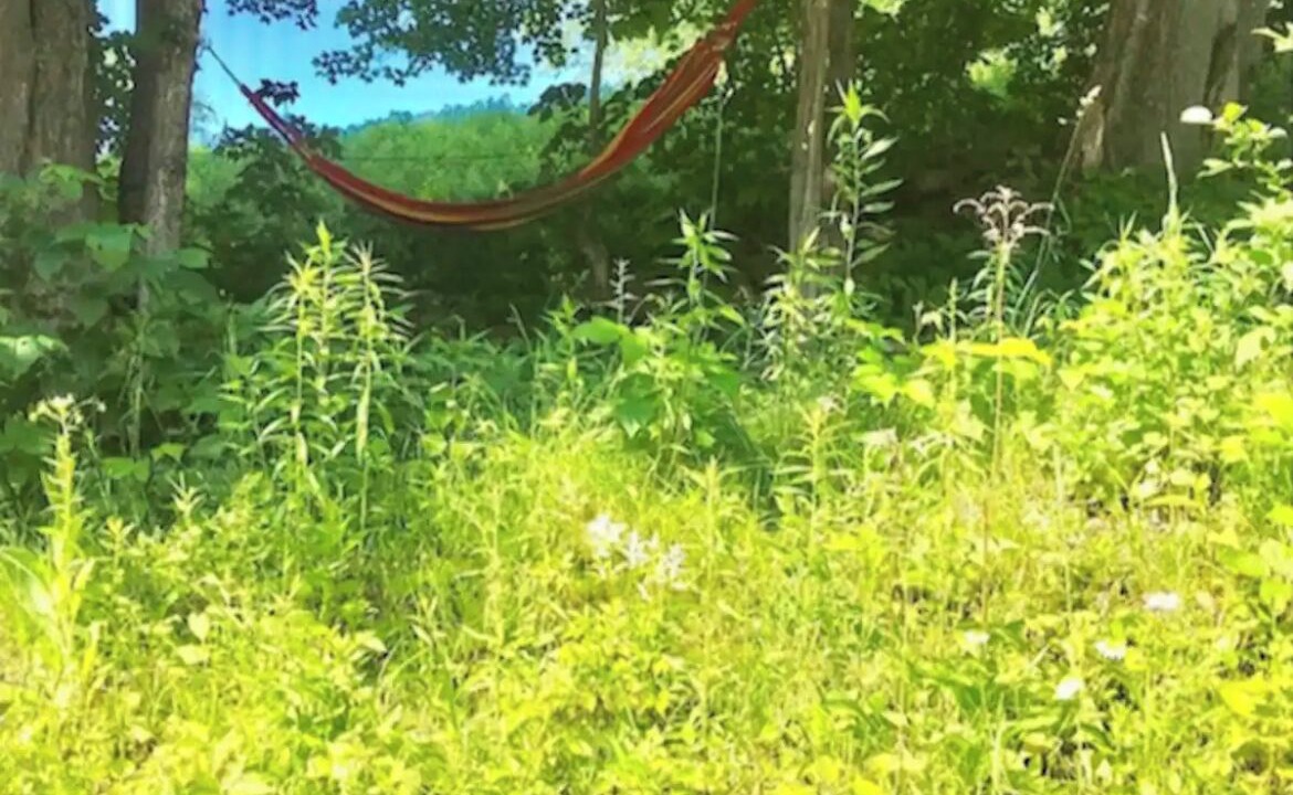 Photo of Outdoor in Whitingham