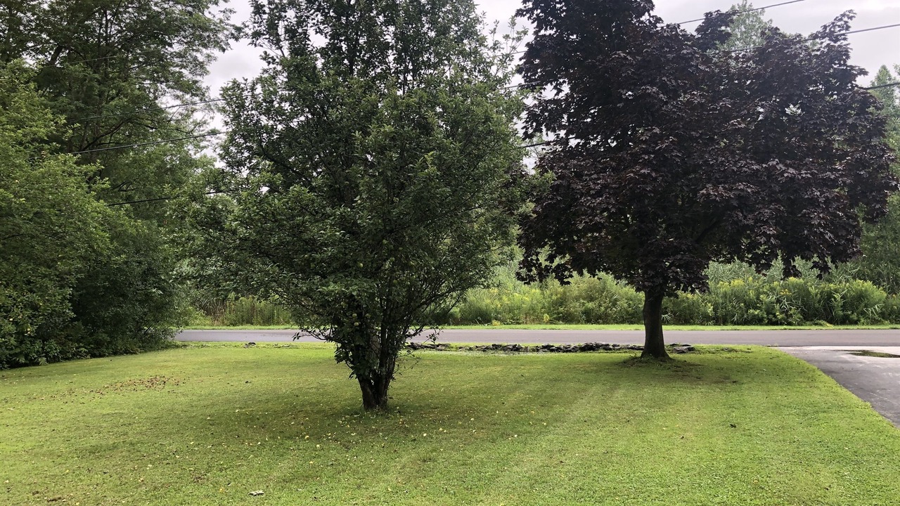 Photo of Others in East Haven  Rutland County