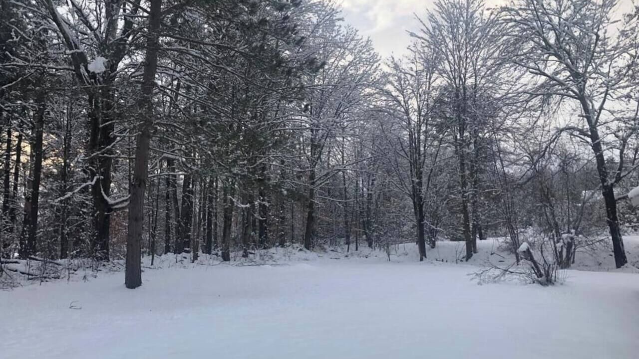 Photo of Others in East Haven  Rutland County