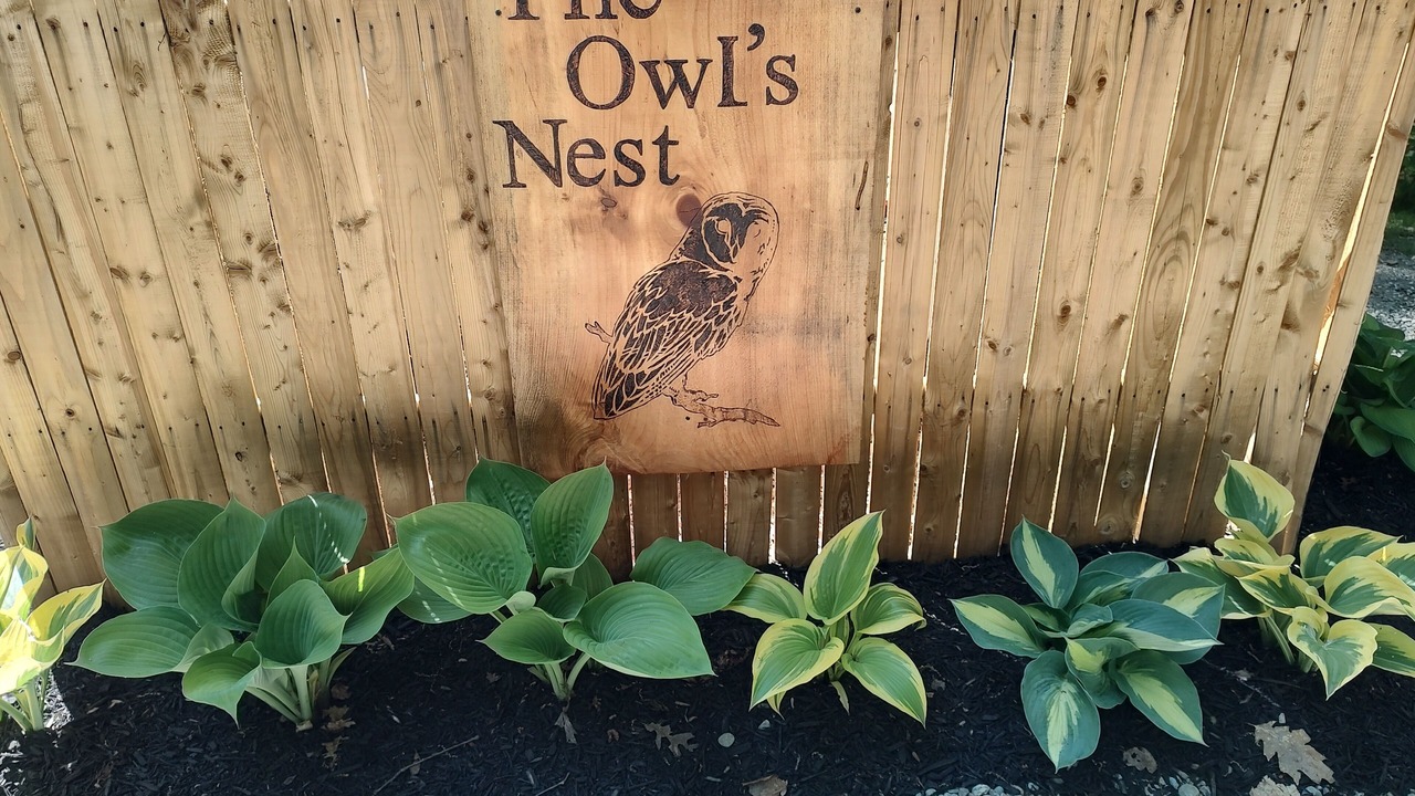 Photo of Outdoor in East Nassau