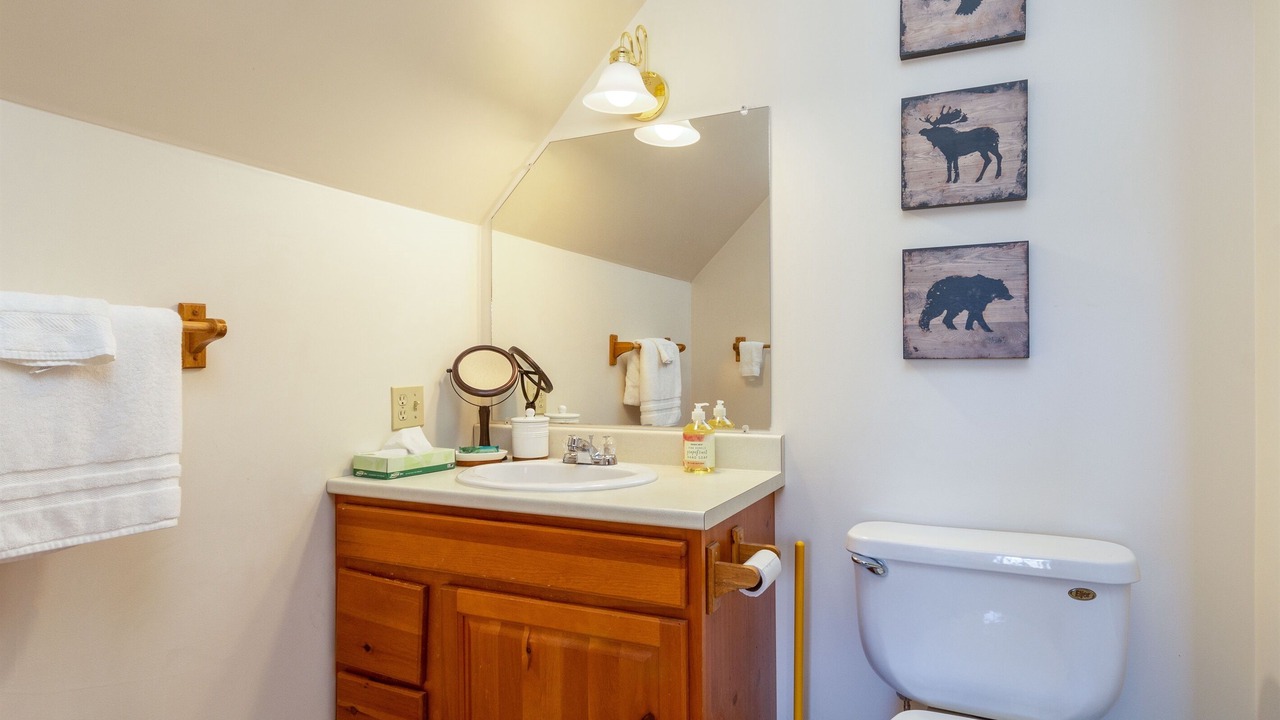 Photo of Bathroom in North Troy