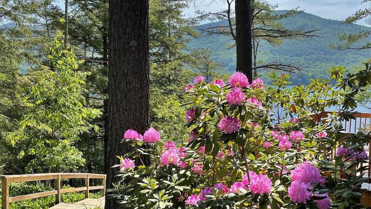 Photo of Outdoor in Bolton Landing