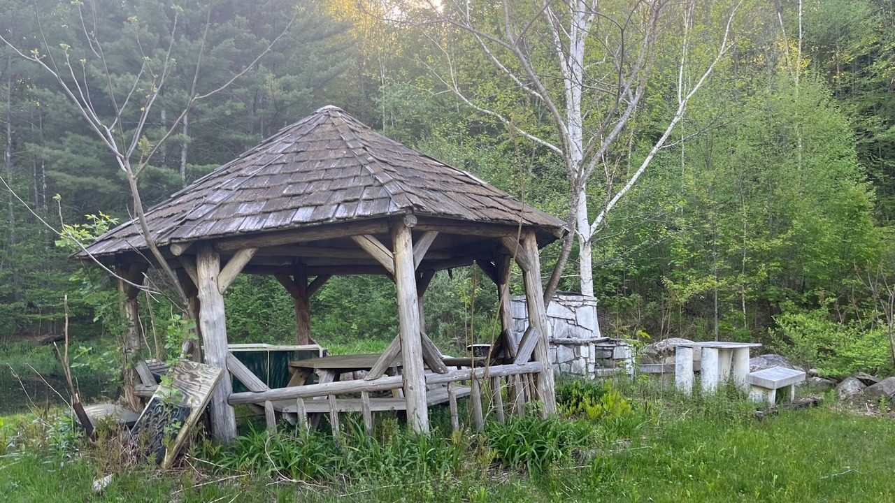 Photo of Outdoor in East Dorset