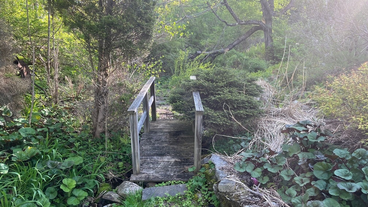 Photo of Outdoor in East Dorset